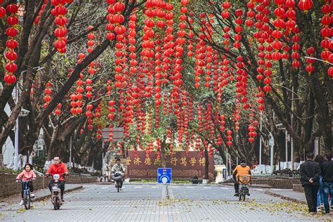 屬虎適合的水晶